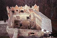 Zamek Grodno w Zagrzu lskim